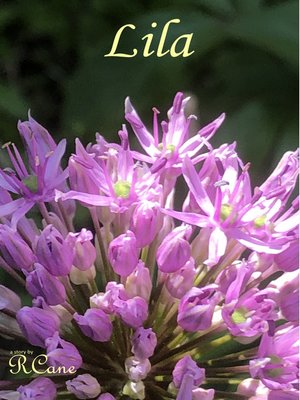 cover image of Lila